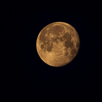 Moon