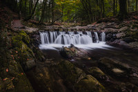 Tollymore Forest Park, Newcastle Co.Down October 2026-7
