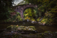 Tollymore Forest Park, Newcastle Co.Down October 2026