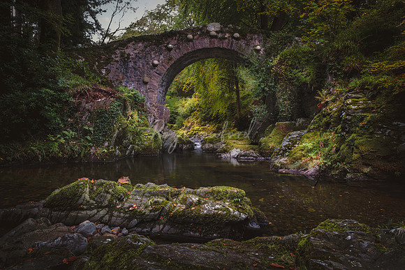 Tollymore Forest Park, Newcastle Co.Down October 2026