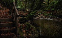 Tollymore Forest Park, Newcastle Co.Down October 2026-9