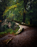 Tollymore Forest Park, Newcastle Co.Down October 2026-2