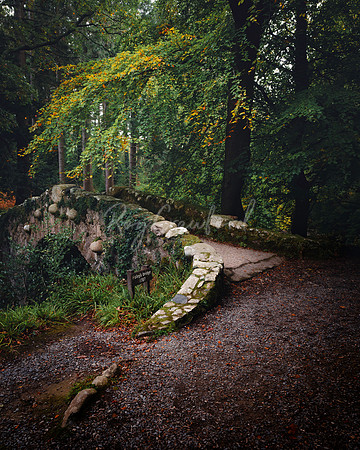 Tollymore Forest Park, Newcastle Co.Down October 2026-2