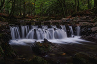 Tollymore Forest Park, Newcastle Co.Down October 2026-8