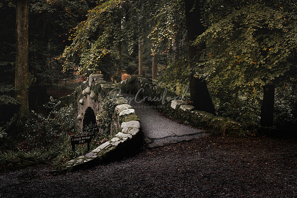 Tollymore Forest Park, Newcastle Co.Down October 2026-3