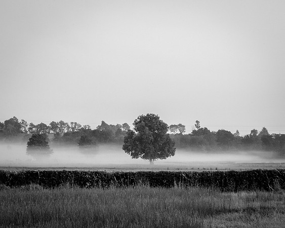 The Mist 1st Oct 2015