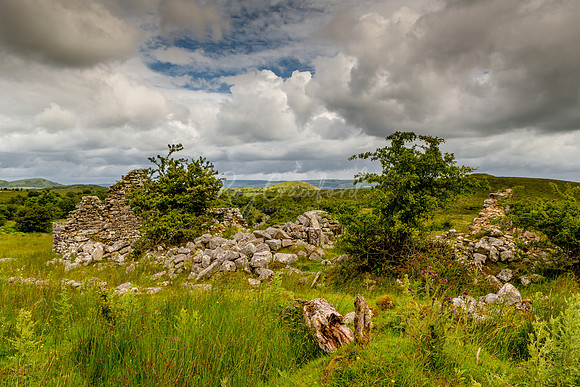 Cladagh Glen , Co.Fermanagh July 2016-3