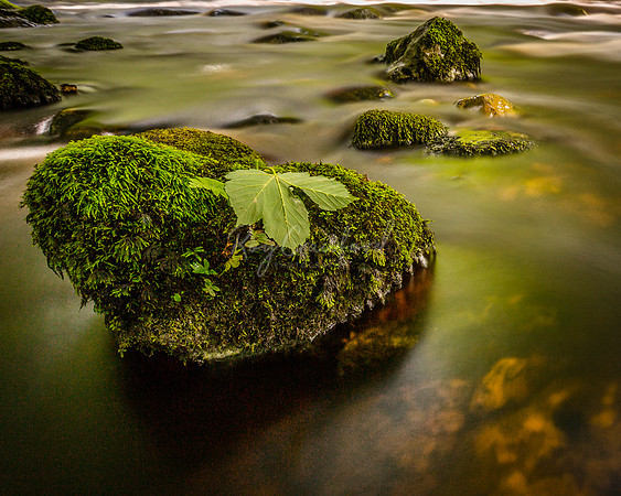 Cladagh Glen Co.Fermanagh July 2016-2