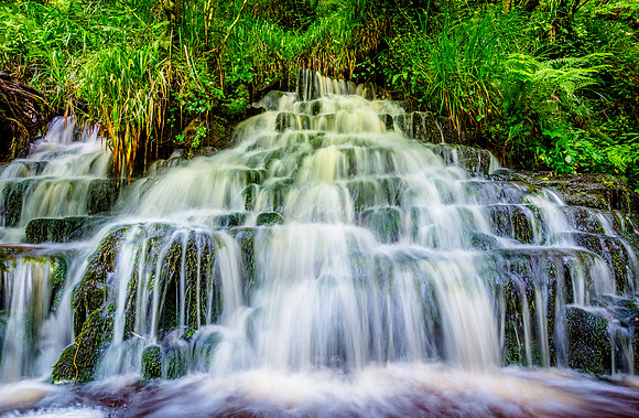 Cladagh Glen Co.Fermanagh July 2016-6