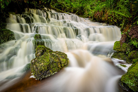Cladagh Glen Co.Fermanagh July 2016-5