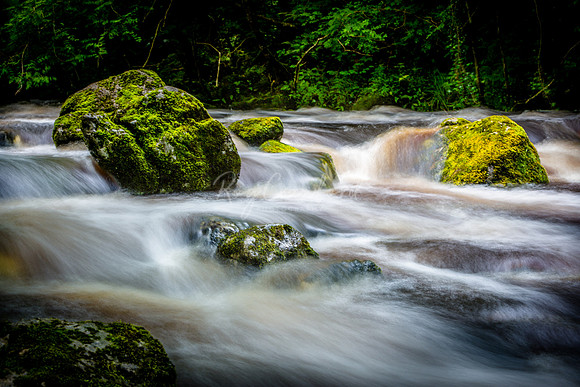 Cladagh Glen Co.Fermanagh July 2016-4