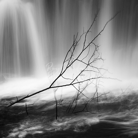 Glenariff waterfall with branch