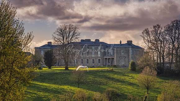 Swan fly past over Enniskillen Royal Grammar School00002