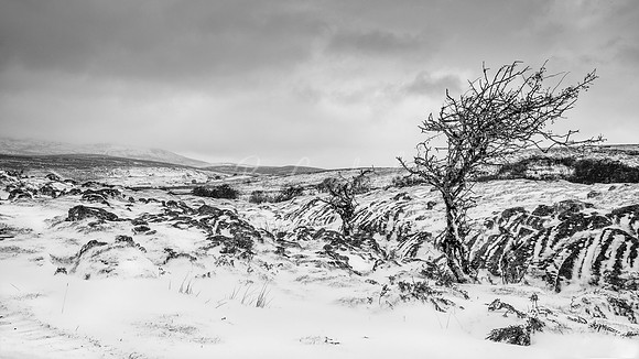 Fermanagh in winter 3