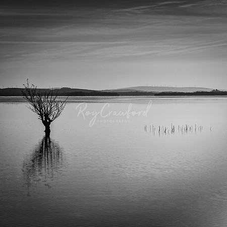 Finn Lough Co.Fermanagh (1 of 1)