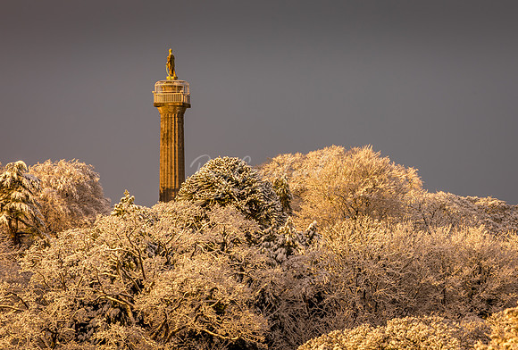 Coles Monument