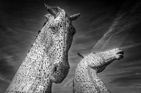 Kelpies 1