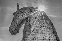 Kelpies 2