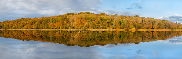 Carrickreagh Bay Pano 2021