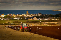 Working the Land