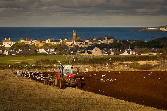 Working the Land