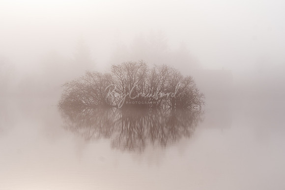 Reflections in the fog