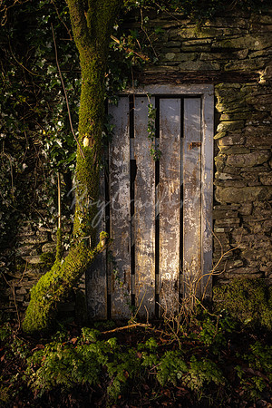 The Old Door