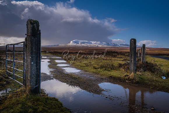 Cuilagh Mountain March 2020-42