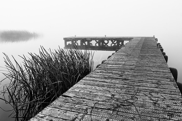 The calm -