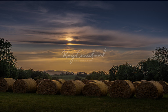 Round Bales in the sun-
