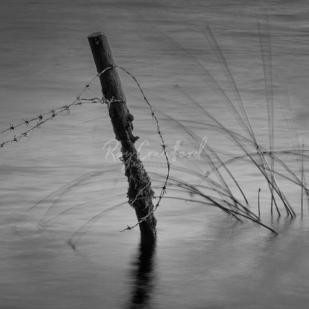 Still standing-