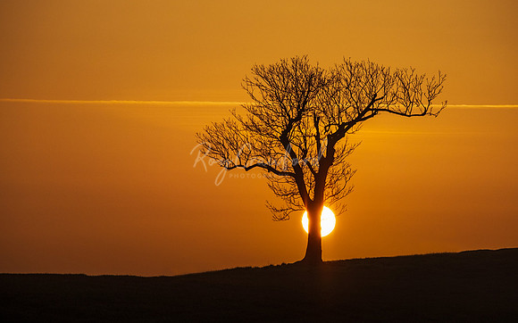 The Hiding Sun