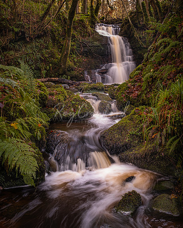 Stranafeley Waterfall November 2020-3