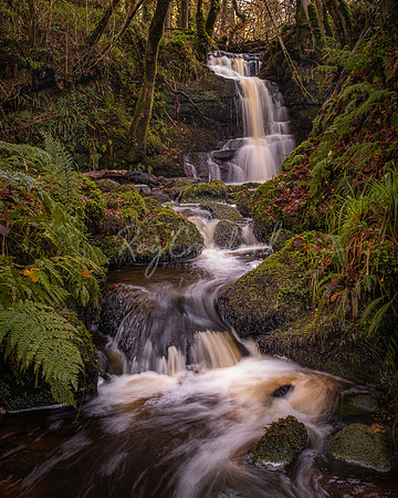 Stranafeley Waterfall November 2020-4