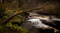 Co. Fermanagh