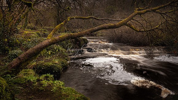 Drummoney fall,Kesh Co.Fermanagh-2