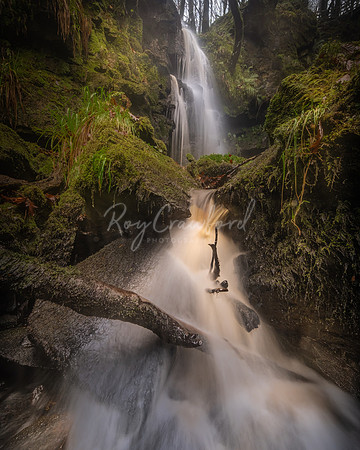 Sloughan Glen_
