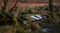 Co. Fermanagh