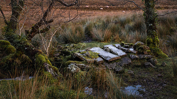 Cuilagh Mountain Stone Crossing 2020