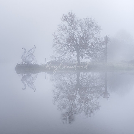 Enniskillen Castle and Swan in the morning mist             _-2