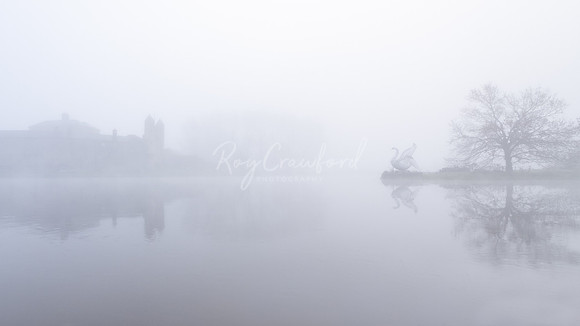 Enniskillen Castle and Swan in the morning mist             _
