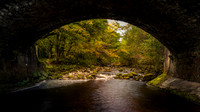 Arch of Autumn 2020