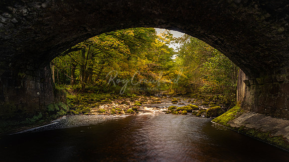 Arch of Autumn 2020