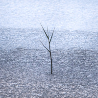 All alone jpg
