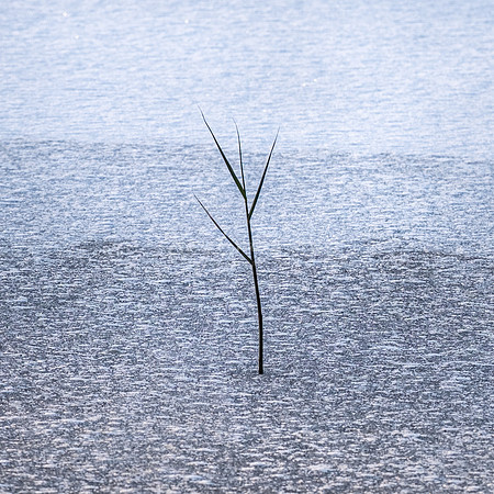 All alone jpg