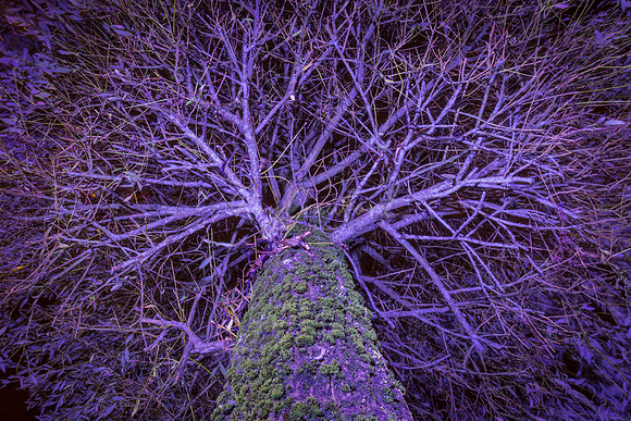Enniskillen at night, November 2016-6