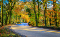 Co. Fermanagh